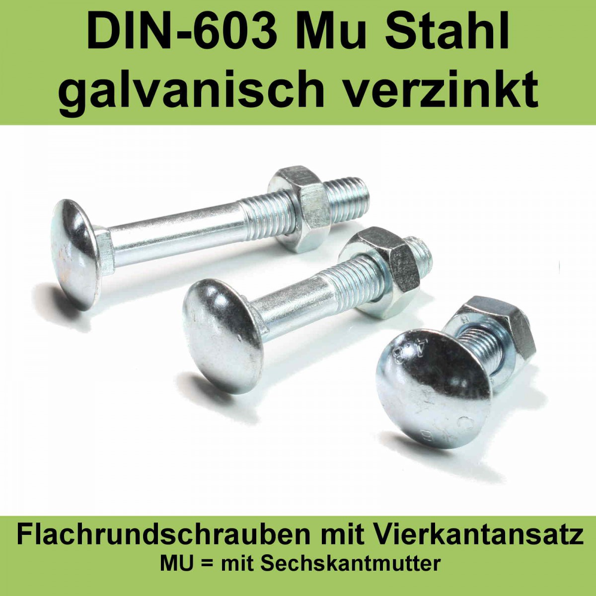 100x Schloßschrauben DIN 603 8.8 Verzinkt M10x80 - Flachrundschrauben Mit Vierkantansatz